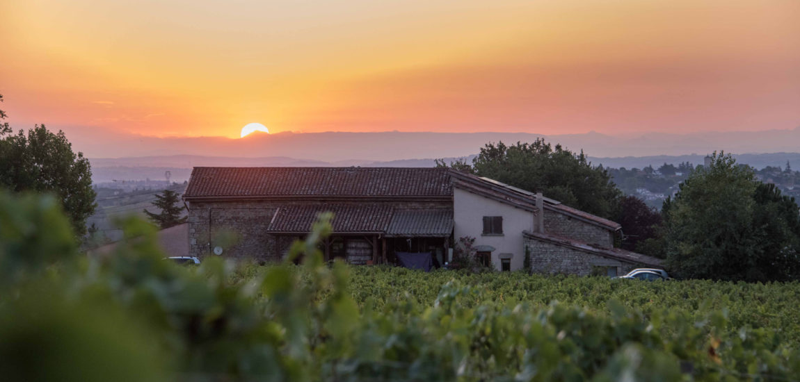 Clos-St-Mrc-Diaporamas_0003s_0005_clos-saint-marc-les-vignes-1